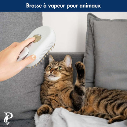 PetBrush｜Élimine facilement les poils des animaux sans causer de dégâts