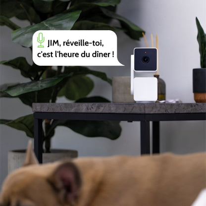 SafeHome｜Caméra de surveillance HD, Wifi avec détection de mouvement et interactivité smartphone